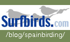 birding in spain birding holidays summer itinerary blog icon